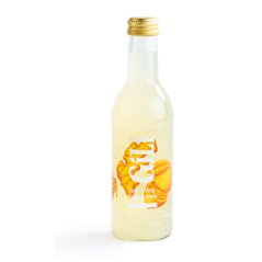 Limonade de gingembre BIO 25cl